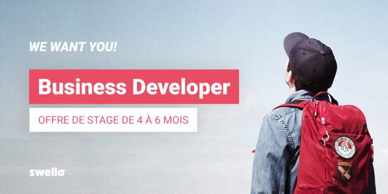 Offre De Stage Business Developper